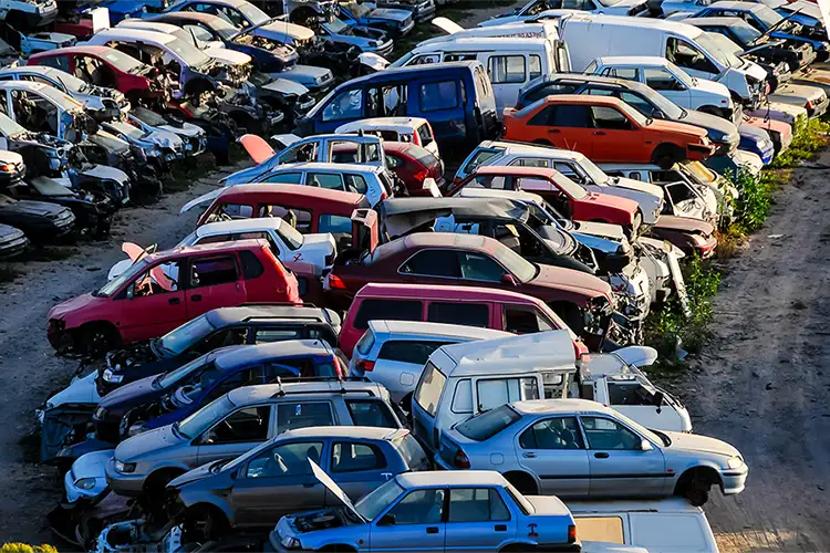 Junk Car Dealer