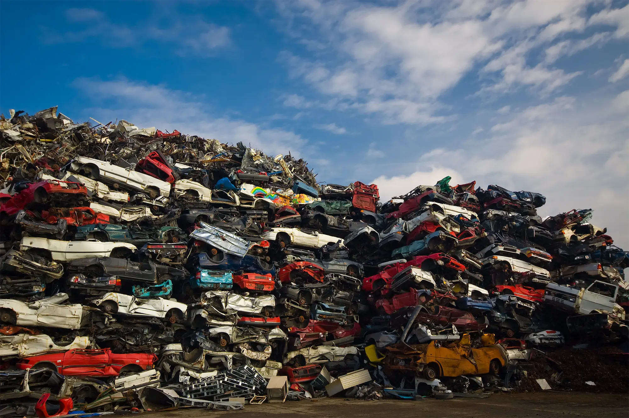 Junk Car Dealer